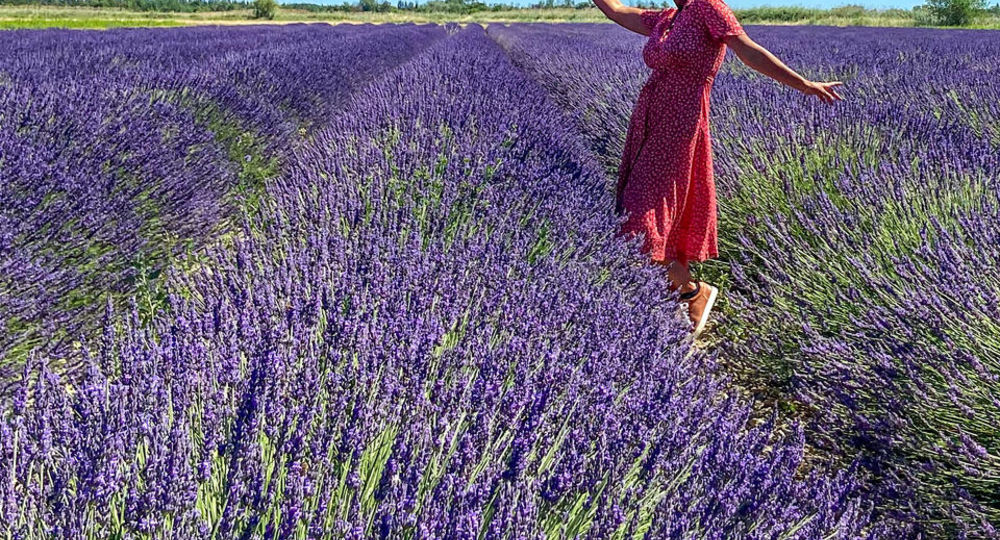 Atelier cueillette et distillation des lavandins chez Un Mas en Provence_Bellegarde