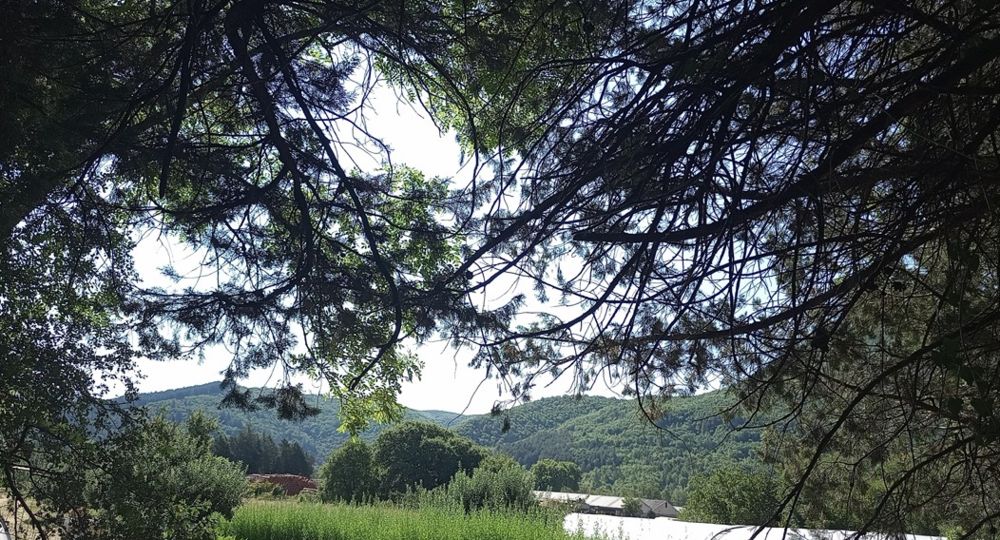 La Pompette_Molières-Cavaillac