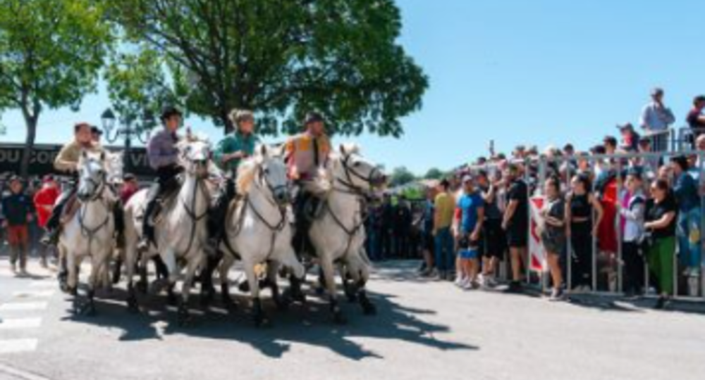 Féria d'Alès - Festival d’abrivado_Alès