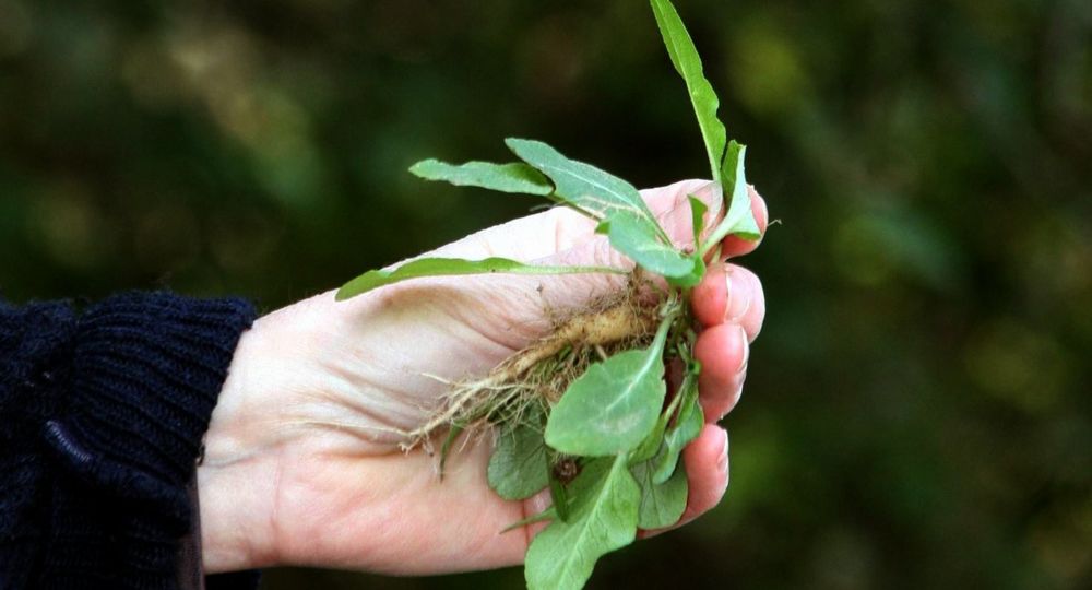 Mon dimanche au Pont du Gard - Archéo-balade_Vers-Pont-du-Gard