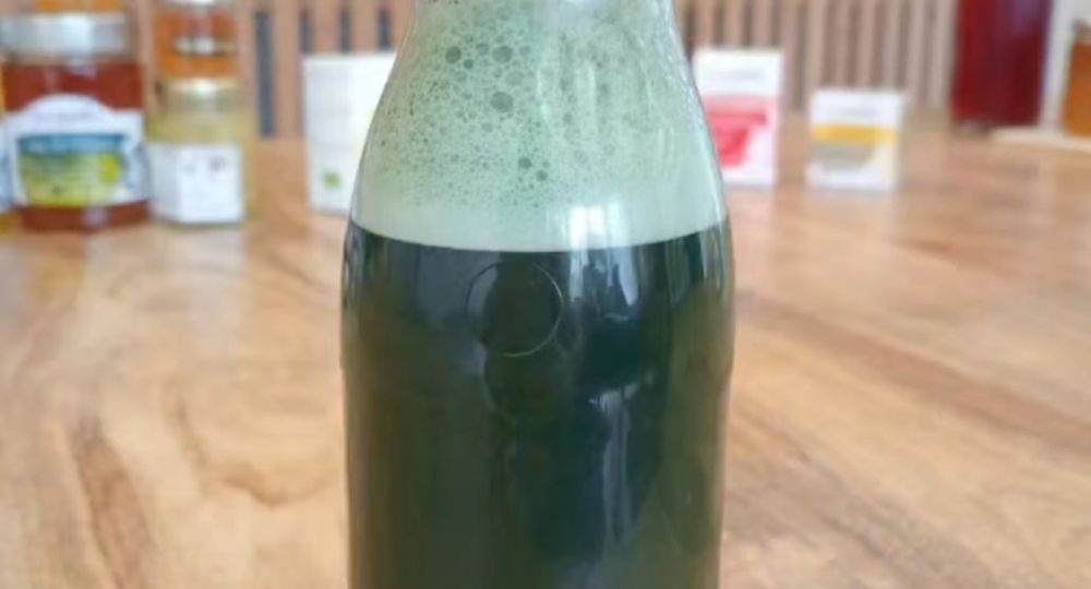 Atelier de création d'une boisson au miel et à la spiruline_Sauve
