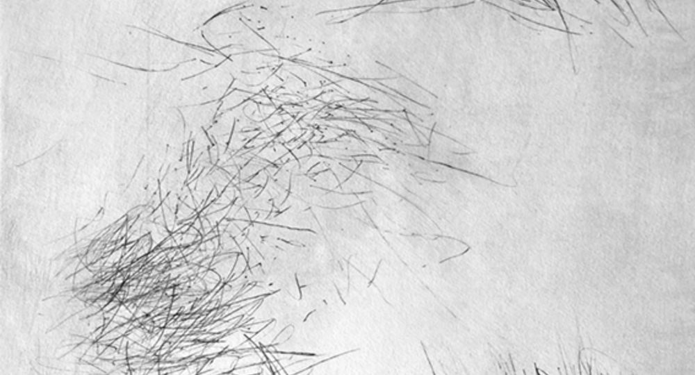 Eve Luquet - Artiste (Gravure et dessin)_Sauve