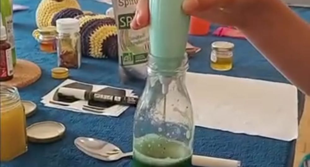 Atelier de création d'une boisson au miel et à la spiruline_Sauve