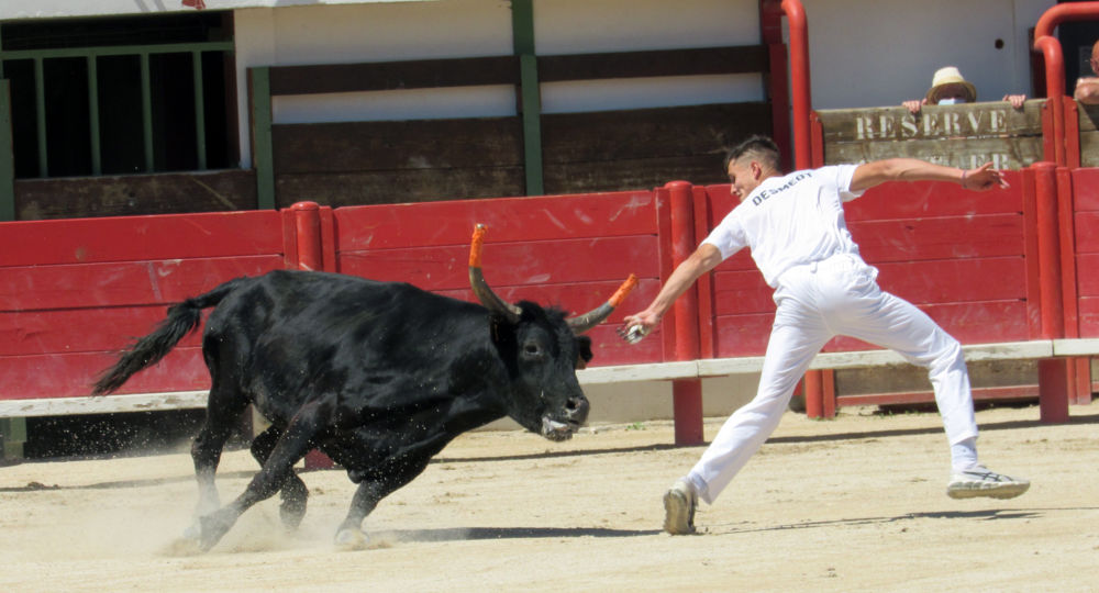 Course camarguaise