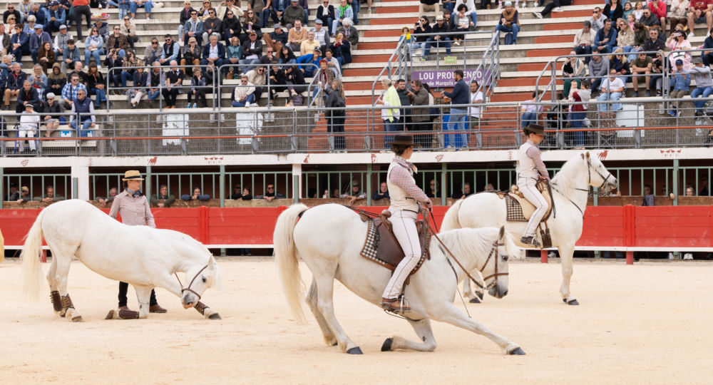 Arènes - Vauvert_Vauvert