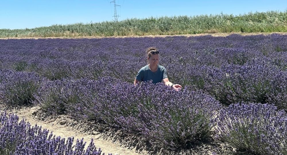 Un Mas en Provence