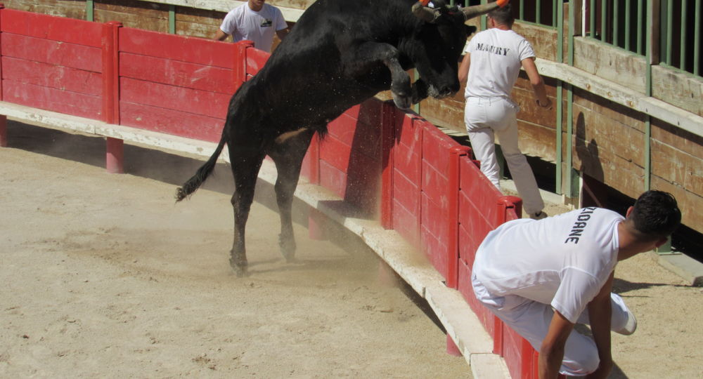 Trophée des Prémices à Vauvert