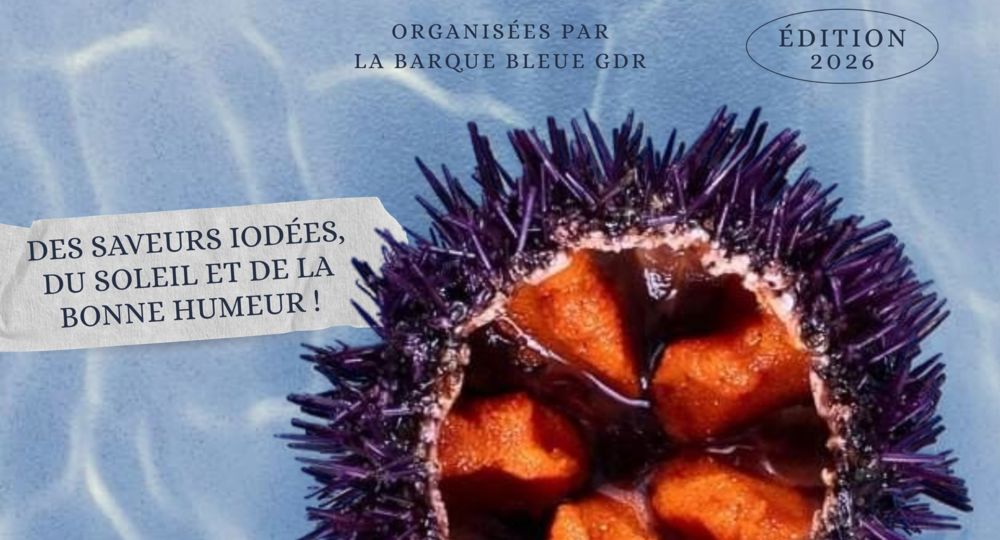 les Oursinades de La Barque Bleue_Le Grau-du-Roi