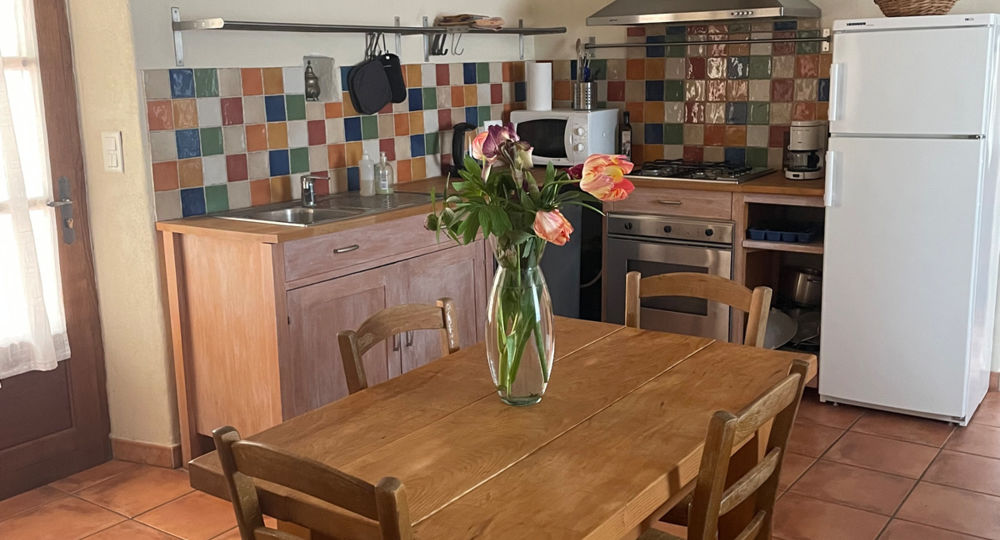 Gîtes Clos Cèze Art : Succulentes