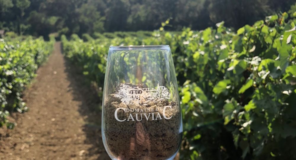 Dégustation Domaine de Cauviac_Quissac