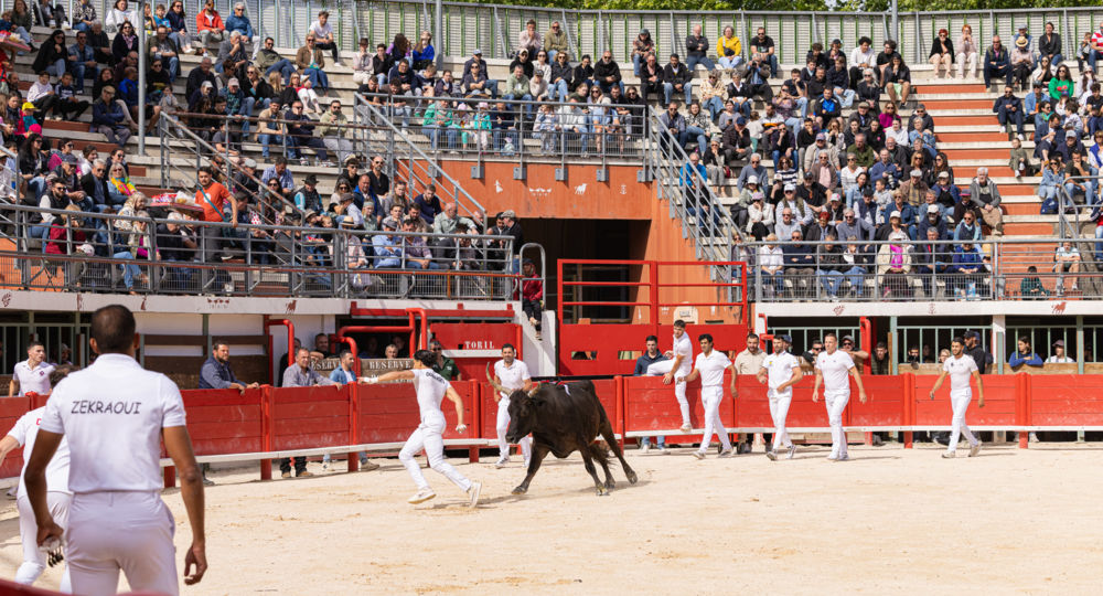 Arènes - Vauvert_Vauvert