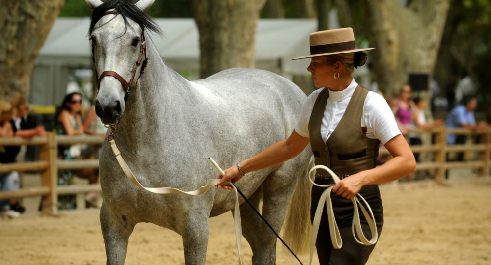 Les Rencontres Equestres
