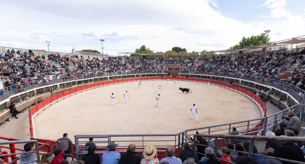 Arènes - Vauvert_Vauvert