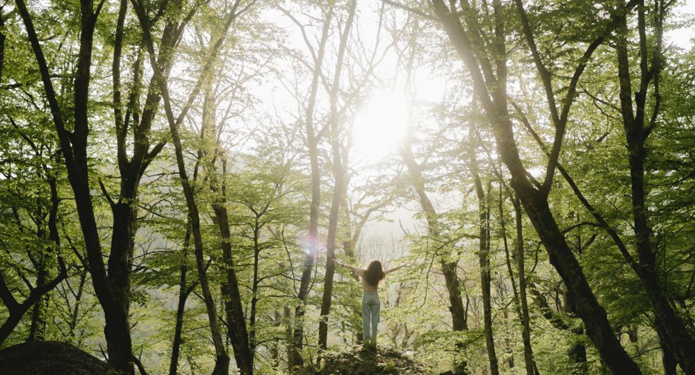 Bain de forêt_Saint-Quentin-la-Poterie
