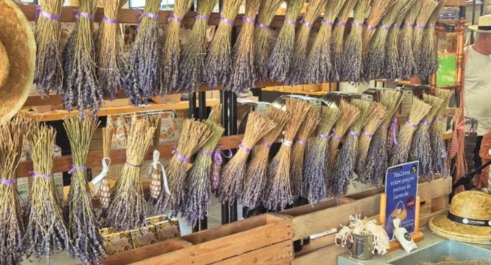 Un Mas en Provence
