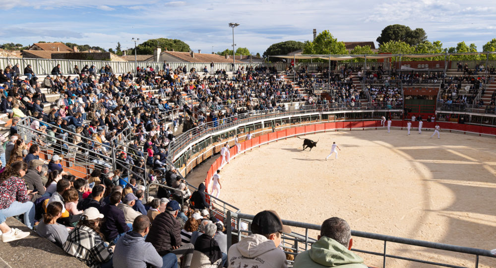 Arènes - Vauvert_Vauvert