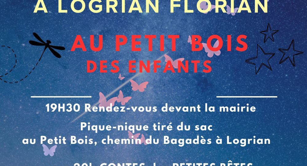 La nuit des insectes