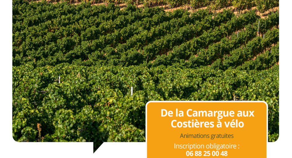 Terroirs vagabonds - Saint-Gilles