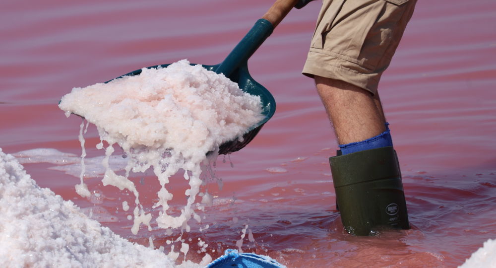Visites de la récolte de la fleur de sel - Salin d'Aigues-Mortes_Aigues-Mortes