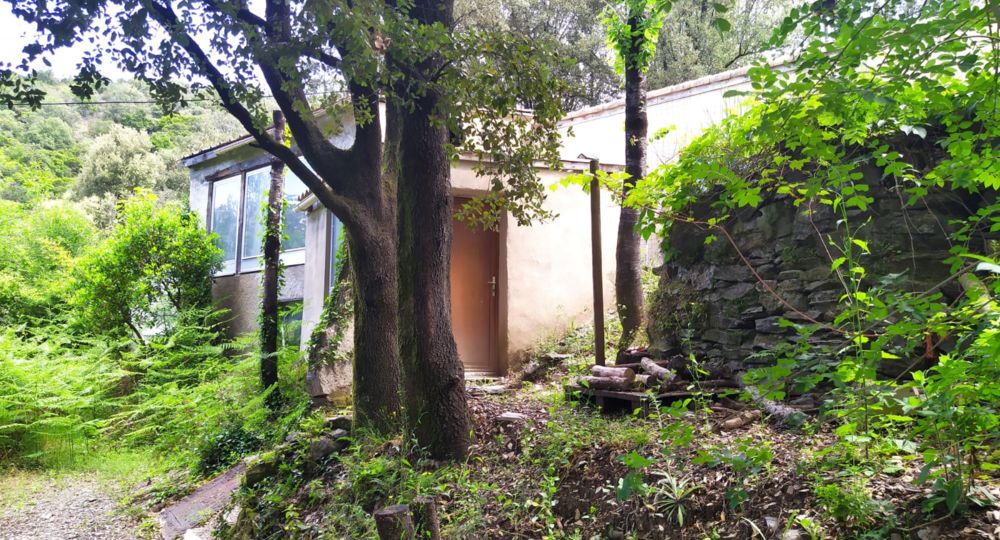 Une terrasse paisible sous les arbres