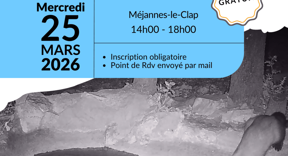 Mares à Méjannes_Méjannes-le-Clap