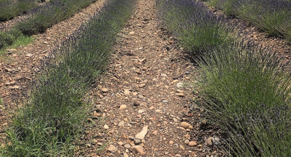 Un Mas en Provence
