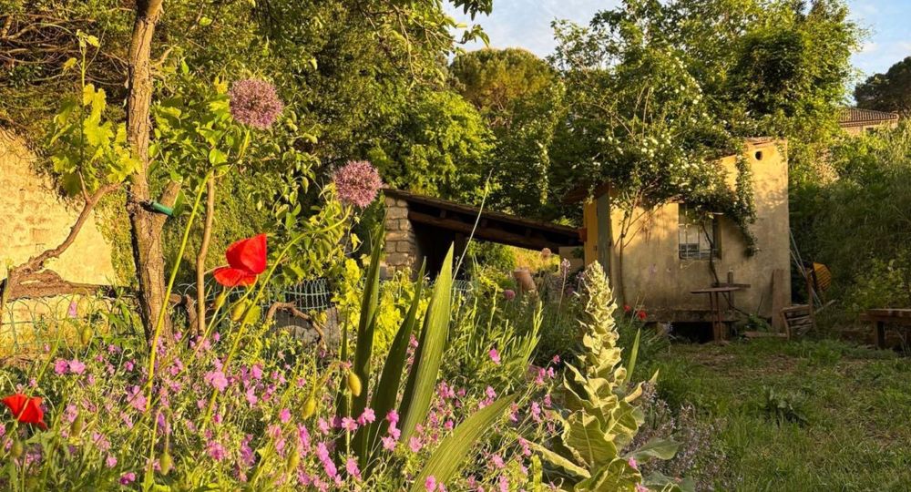 Balade botanique - Avril en balade 2026