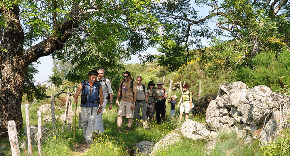 Tornight ou la marche nocturne à Tornac_Tornac