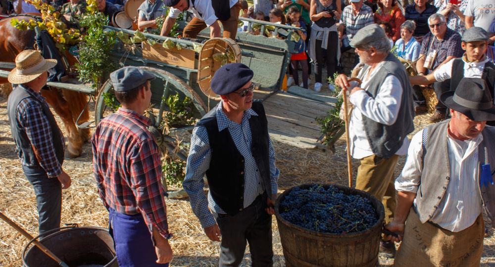 Vendanges de l'histoire à Chusclan