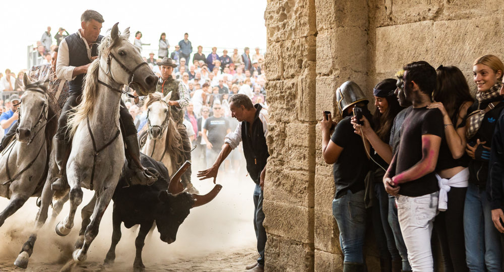 Fête votive d'Aigues-Mortes_Aigues-Mortes