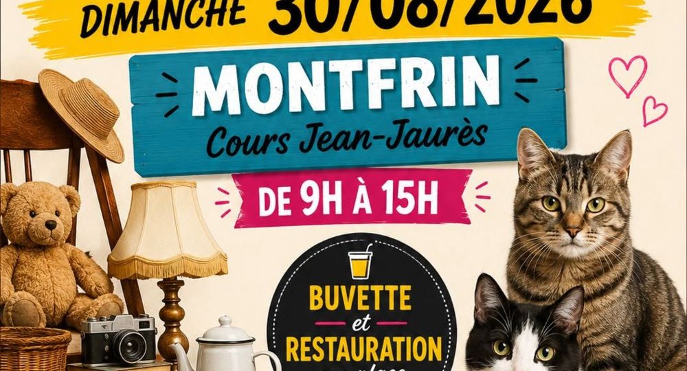 Vide Grenier_Montfrin