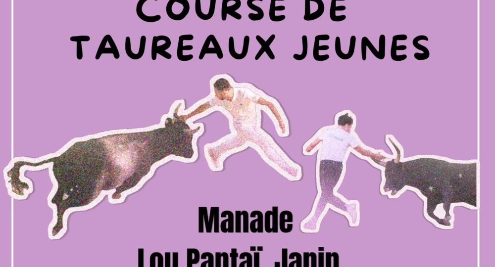 Course camarguaise taureaux jeunes_Sommières