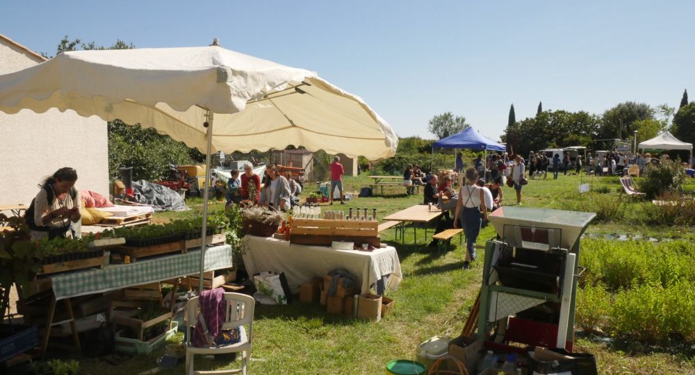 Balade botanique à la découverte des plantes sauvages comestibles et médicinales_Calvisson
