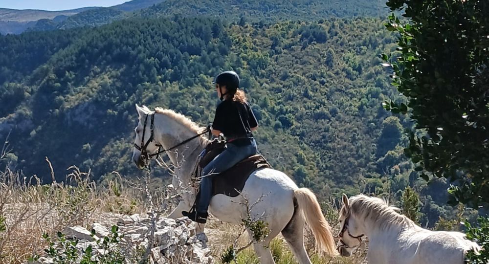 Au bord de la Virenque