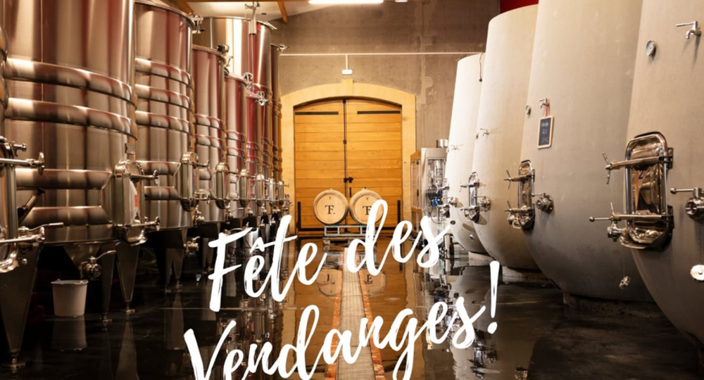 Fête des vendanges au Domaine Tardieu Ferrand_Argilliers