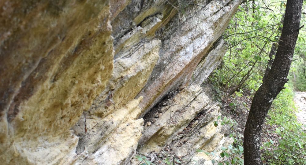 Conférence - Uzès aux temps géologiques_Uzès