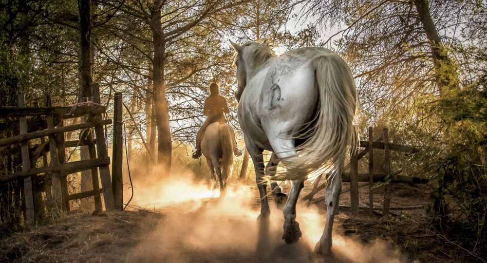 Exposition Photos ''Regards croisés''_Sauve