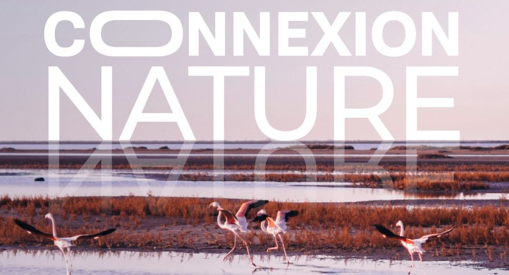 Connexion Nature, le week-end du patrimoine naturel_Le Grau-du-Roi