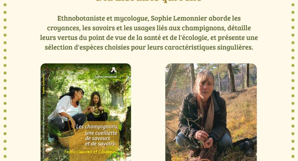 Rencontre avec Sophie Lemonnier