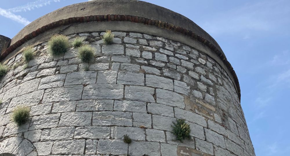 Boucle de l'Ermitage_Alès