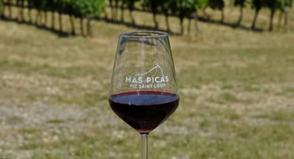 Découverte du Domaine au Mas Picas_Corconne