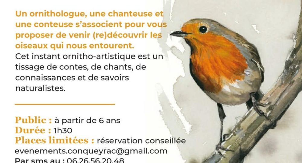 Spectacle sur les oiseaux 
