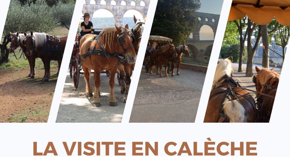 La visite en calèche au Pont du Gard