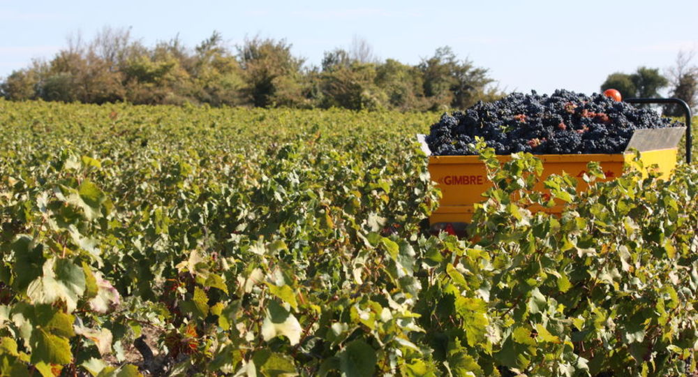 After-work au domaine de la Rouette_Rochefort-du-Gard