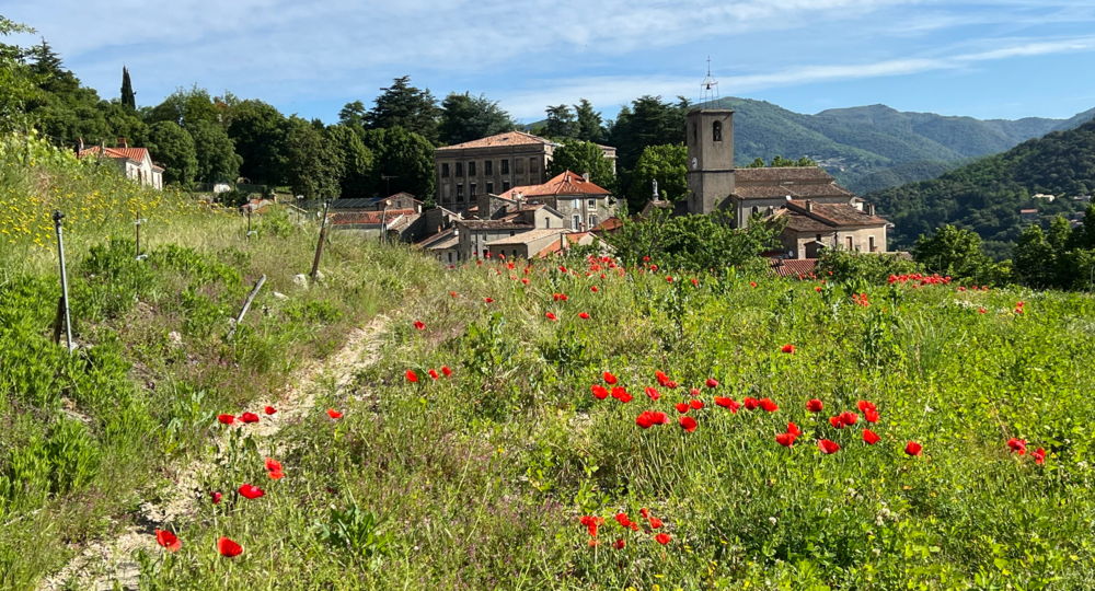 Les Brugas de Camias_Saint-André-de-Majencoules