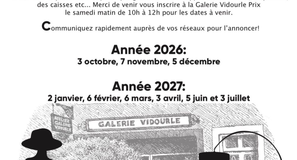 Vide grenier & cave_Sauve