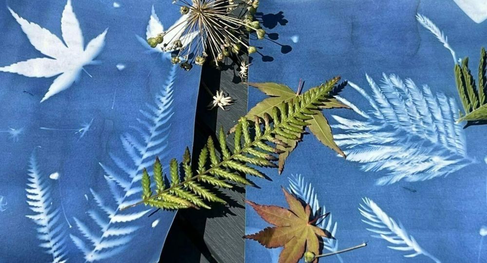 Découvrez la technique du cyanotype