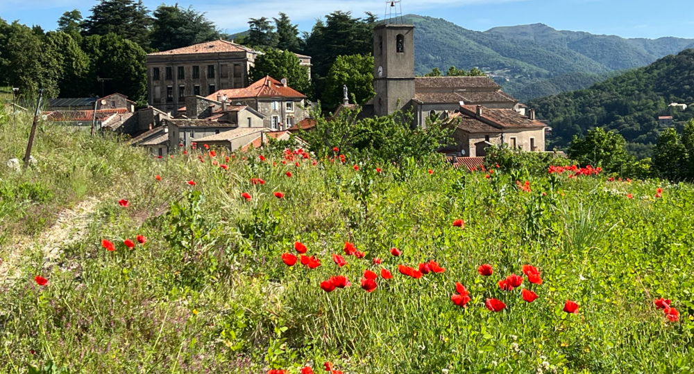 Les Brugas de Camias_Saint-André-de-Majencoules