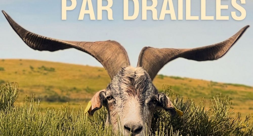 Projection film documentaire : Par Monts et par Drailles_Saumane