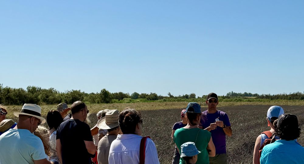 Visites guidées au Mas en Provence_Bellegarde